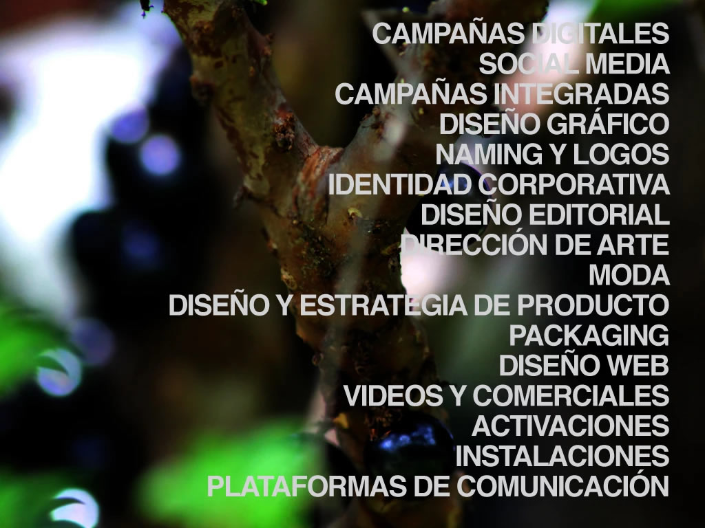 hacemos